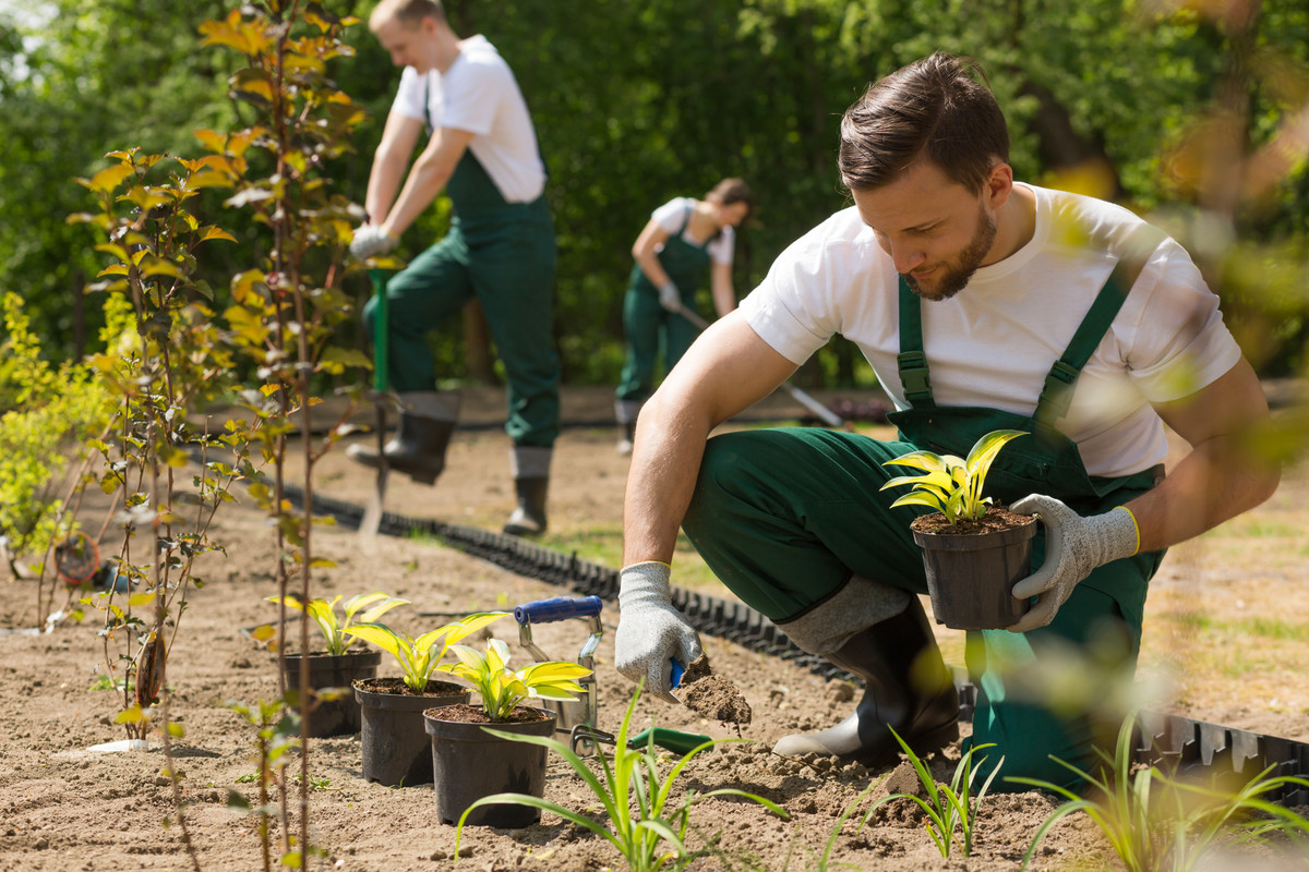 Landscaping 101