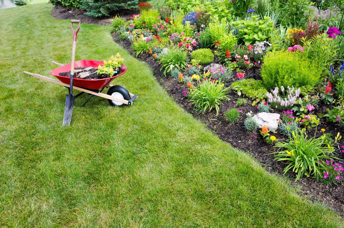 Why Hire a Lawn Mowing Perth Service?
